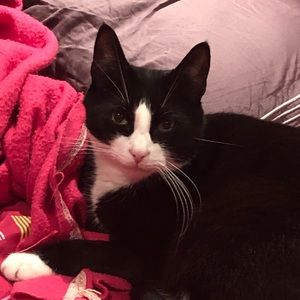 Meet your Posher, Cassy